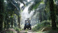 How DJI Zenmuse L3 Is Transforming Operations on a 3,800-Hectare Palm Plantation in Malaysia