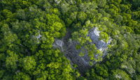 Beneath the Canopy: How Archaeologists Are Rewriting Maya History with DJI Drones
